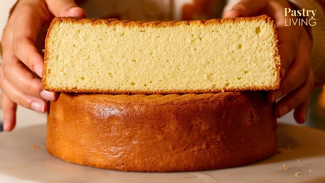 The BEST Fluffy Vanilla Sponge Cake *New & Improved* (Easy Genoise Method)