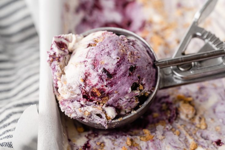 Blueberry Cheesecake Ice Cream