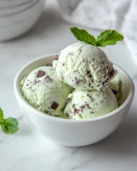 Mint Chocolate Chip Ice Cream Recipe