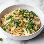 Shirataki Noodles Recipe