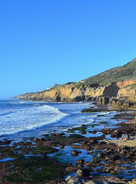 A close-up view of the tidal pool area at Cabrillo National Monument in San Diego, revealing the unique marine life along the rocky shoreline. The image highlights the fascinating underwater habitats that attract nature enthusiasts and visitors, offering a glimpse into the coastal ecosystem and biodiversity found in San Diego.