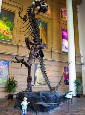 An impressive exhibit at a dinosaur museum featuring a large T-Rex skeleton. The image captures the awe-inspiring display of prehistoric life, emphasizing the museum's educational focus on paleontology.