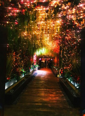 Interior view of a luxurious hotel entrance with sleek modern design, offering a warm and welcoming atmosphere with ambient lighting and stylish decor.