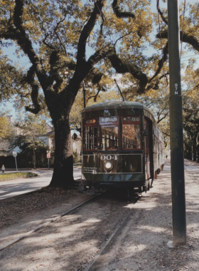 Scenic view of St. Charles Avenue in New Orleans, featuring historic streetcars traveling along the tree-lined street with beautiful, classic architecture, showcasing the charm and elegance of this iconic avenue.