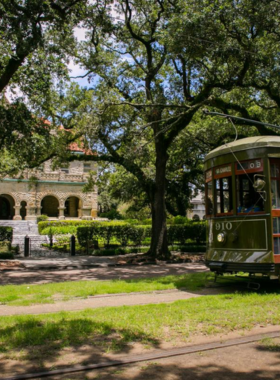  Classic streetcar running down St. Charles Avenue in New Orleans, lined with grand historic homes and shaded by large oak trees, capturing the charm of this iconic avenue.

