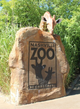 A family-friendly scene at the Nashville Zoo, featuring lush greenery and animal exhibits.