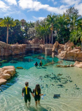 A crystal-clear lagoon at The Grand Reef in Discovery Cove, Orlando, where visitors can snorkel and interact with tropical marine life in a realistic and immersive underwater environment.