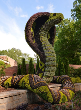  Intricate botanical sculptures at the Atlanta Botanical Garden, crafted with lush plants and flowers to create large-scale designs, adding artistic beauty to the garden landscape.