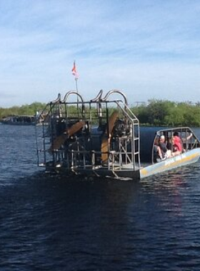  This image shows an exciting airboat tour gliding across the Everglades waters, with nearby wildlife and a lush wetland landscape, giving visitors a thrilling look at Florida's famous ecosystem.