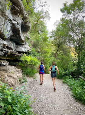 A scenic view of the Barton Creek Greenbelt, featuring lush greenery along the trail. Hikers and nature enthusiasts can be seen enjoying the outdoors amidst vibrant foliage and rocky terrain, with sunlight filtering through the trees.