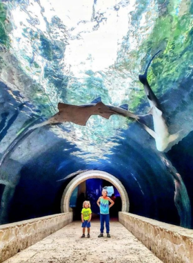 Children exploring and playing inside a glass tunnel aquarium exhibit, surrounded by clear views of aquatic life swimming above and around."