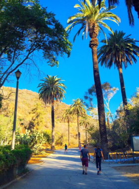 “Entrance to Runyon Canyon Park in Los Angeles, featuring a scenic trailhead known for its hiking paths and city views.”