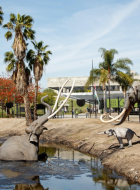 The La Brea Tar Pits in Los Angeles, featuring a fossil excavation area with natural tar seepage, highlighting a prehistoric landmark.”