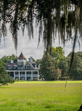 A picturesque view of a historic street in Charleston, lined with charming old homes featuring colorful facades and wrought-iron balconies. The scene is framed by lush greenery, inviting visitors to explore the rich history and Southern charm of the city.