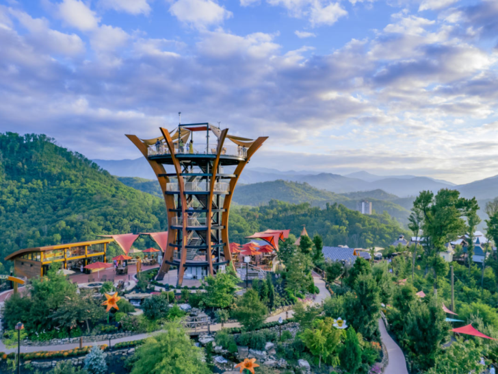 15 Exciting Things to Do in Gatlinburg, Tennessee