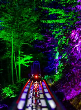 A vibrant view of the Moonshine Coaster illuminated by colorful lights at night. The thrilling coaster tracks weave through the trees, creating an exciting ambiance for night-time fun in Gatlinburg.