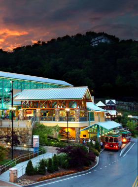  A stunning view of Ripley's Aquarium in Gatlinburg at night, beautifully lit against the dark sky. The aquarium's colorful exterior draws attention, highlighting the allure of this family-friendly attraction.