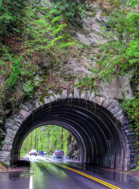 A scenic view of the Bote Mountain Tunnel, surrounded by towering trees and lush foliage. The image captures the beauty of the Smoky Mountains and the enchanting journey through this iconic landmark.