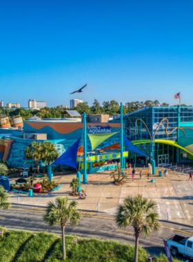 A captivating display at Ripley’s Aquarium in Myrtle Beach, where visitors can see colorful fish and marine life in a hands-on exhibit. The aquarium is known for its family-friendly and educational experiences.