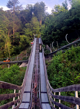 A gallery in Gatlinburg displaying artwork inspired by the Smoky Mountains, with paintings and sculptures that celebrate the region’s natural beauty and culture.