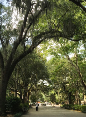 "Forsyth Park in Savannah, Georgia, featuring a grand fountain surrounded by shaded walking paths, lush gardens, and historical monuments."