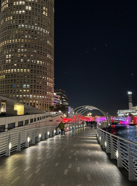 Scenic view of the Tampa Riverwalk at sunset, with vibrant orange skies reflecting off the Hillsborough River and people walking along the path, enjoying the peaceful atmosphere.