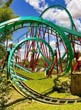  A thrilling roller coaster ride at Busch Gardens, with riders screaming and the ride speeding through loops and twists against a bright blue sky.