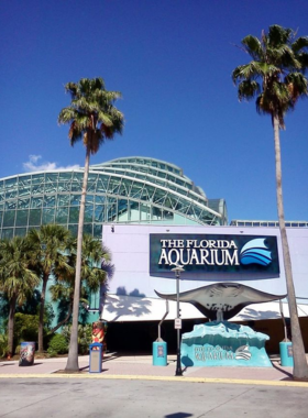 Children enjoying the interactive exhibits at the Florida Aquarium, with a colorful coral reef display and curious sea creatures like fish and sea turtles visible in the tanks.

