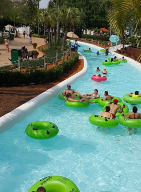 A colorful water slide at Adventure Island, with visitors sliding down into a refreshing pool of water on a hot sunny day, surrounded by lush tropical landscaping.

