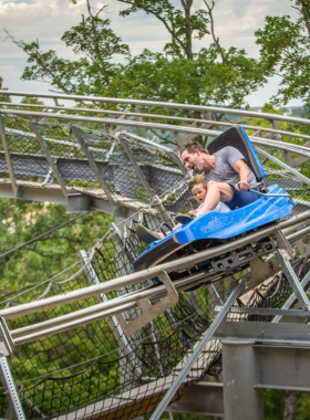  "This image shows that the Runaway Mountain Coaster lets visitors experience a thrilling ride down the mountains of Branson, with self-controlled speeds."