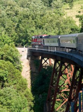 "This image shows that Branson Scenic Railway offers train tours through the scenic landscapes of the Ozarks, with vintage railcars and panoramic views."