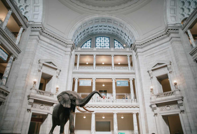 15 Unmissable Things to Do in Washington, D.C. You Can't Miss
