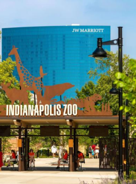 "This image shows the Indianapolis Zoo’s dolphin show, with dolphins performing leaps as spectators watch in excitement."