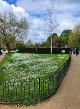 This image shows Hyde Park’s Serpentine Lake, surrounded by trees and open green spaces.