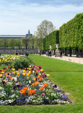 This image shows that the Tuileries Garden offers a green oasis in Paris with manicured pathways, sculptures, and fountains, inviting visitors for leisurely strolls.