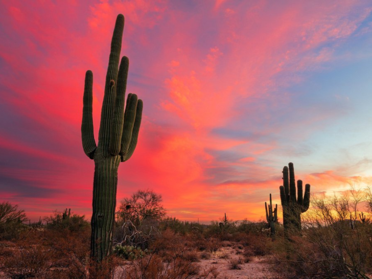 Discover 15 Unforgettable Things to do in Phoenix, arizona