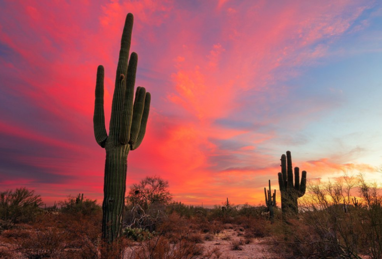 Discover 15 Unforgettable Things to do in Phoenix, Arizona