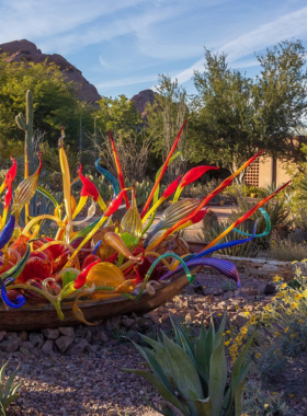 This image shows that the Desert Botanical Garden has a vast collection of cactus plants, showcasing Arizona's unique desert landscape and plant life.