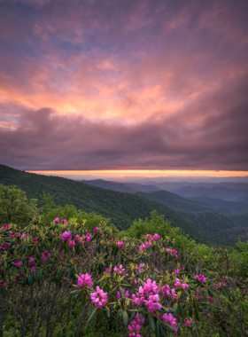 This image shows a hiker walking along a trail in Pisgah National Forest, surrounded by tall trees and rugged mountains."