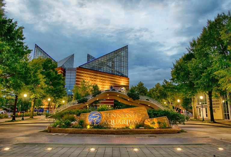 15 Best Things to Do in Chattanooga That You Can't Miss