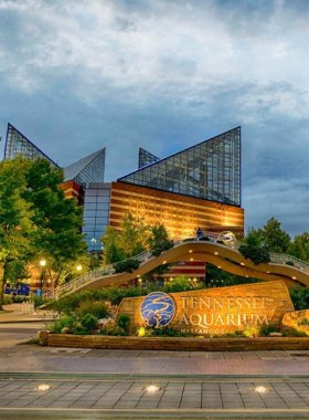 This image shows the Tennessee Aquarium entrance, with families and visitors exploring the world of marine life. The aquarium's iconic glass structure is visible, symbolizing its role in Chattanooga's riverfront.