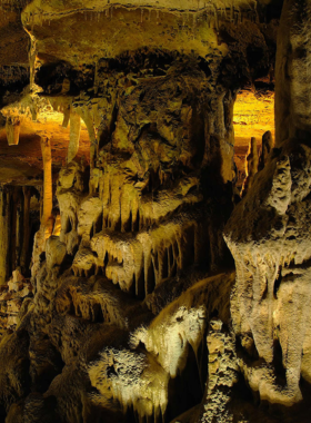  This image shows a tour inside Raccoon Mountain Caverns, with limestone formations illuminated by soft lighting. It captures the beauty and intrigue of Chattanooga’s natural caves.