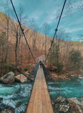 This image shows a scenic section of the Cumberland Trail, surrounded by dense forests. It highlights the trail’s beauty and Chattanooga’s appeal to hikers and nature lovers.
