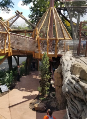  "This image shows a popular exhibit at the Saint Louis Zoo, featuring naturalistic habitats with various animals. Visitors of all ages can observe wildlife from around the world, making it a fun and educational attraction for families."