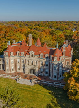 "This image shows Grant’s Farm with a family-friendly tram ride, Clydesdale horses, and open fields. Visitors get close to the animals in a natural setting, combining wildlife encounters with historical landmarks for a unique experience."