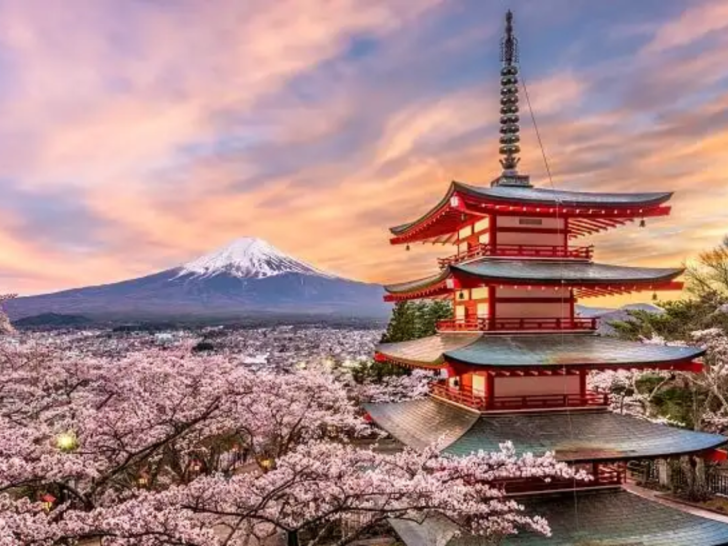 Top 15 Things to Do in Tokyo + Best Spots for an Epic Trip