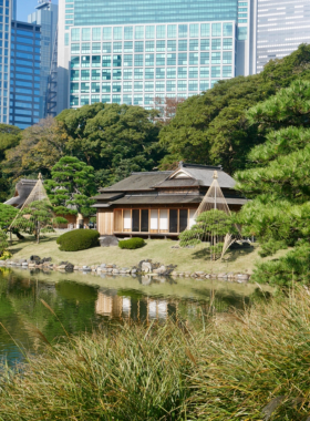 This image shows the tranquil Hamarikyu Gardens in Tokyo, featuring lush greenery, peaceful ponds, and traditional Japanese garden design. Visitors enjoy the calm atmosphere as they walk along the stone paths, surrounded by nature, offering a relaxing escape from the city's hustle and bustle.