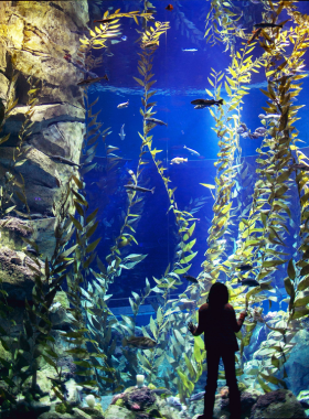  This image shows the underwater tunnel in Ripley’s Aquarium of Canada, where visitors can observe sharks and other marine life swimming overhead. The aquarium offers immersive experiences with its vast marine collection, allowing visitors to explore aquatic ecosystems and marvel at the beauty of underwater life.