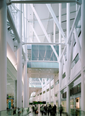 This image shows the dinosaur exhibit at the Royal Ontario Museum, featuring life-sized fossil displays. The ROM’s collections cover art, history, and natural sciences, providing a learning environment where visitors can explore everything from ancient artifacts to natural wonders.