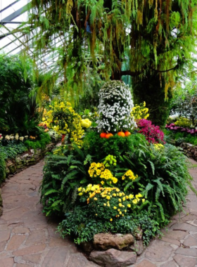  This image shows a colorful pathway lined with diverse flowers and plants at the Toronto Botanical Garden, showcasing its beautifully landscaped spaces. The garden provides a tranquil atmosphere for visitors to enjoy nature, explore various themed gardens like the Japanese and woodland gardens, and participate in educational programs on sustainable gardening.